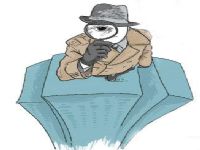 永吉县取证公司解说第三者承担离婚赔偿责任吗